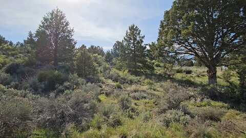 Harney Street, Sprague River, OR 97639