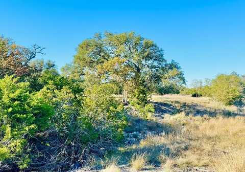 NW Broken Spur, Mountain Home, TX 78058