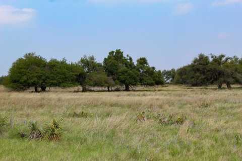 184 Lipan Loop, Harper, TX 78631