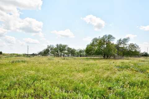 Lot 3 RR 479, Harper, TX 78631