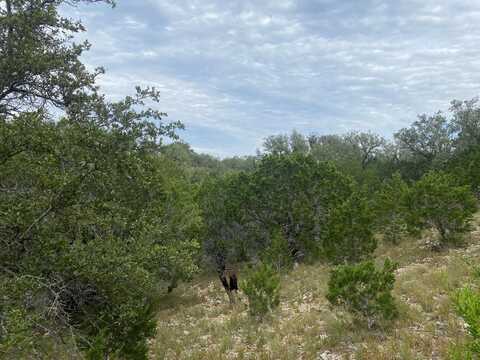 Frio Canyon Loop, Concan, TX 78838