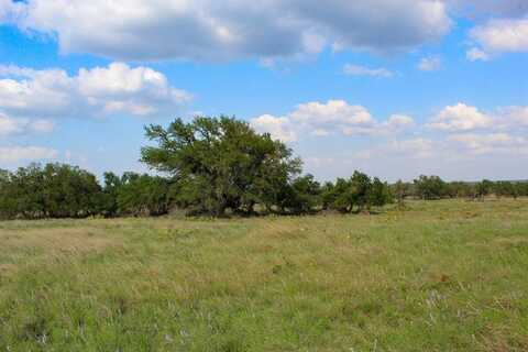 268 Apache Trace, Harper, TX 78631