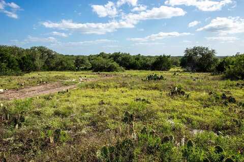 undefined, Mountain Home, TX 78058