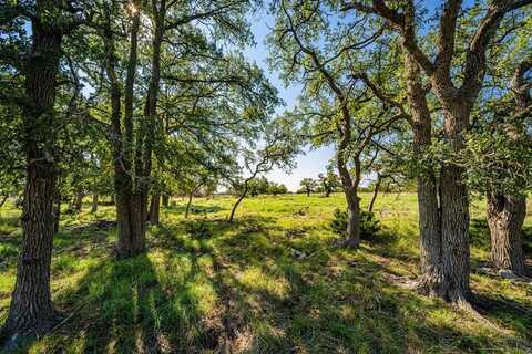 162 Apache Trace, Harper, TX 78631