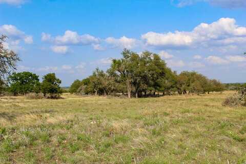 282 Apache Trace, Harper, TX 78631