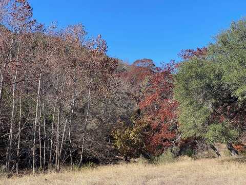 Lot 134 Shapen Springs Rd, Harper, TX 78631