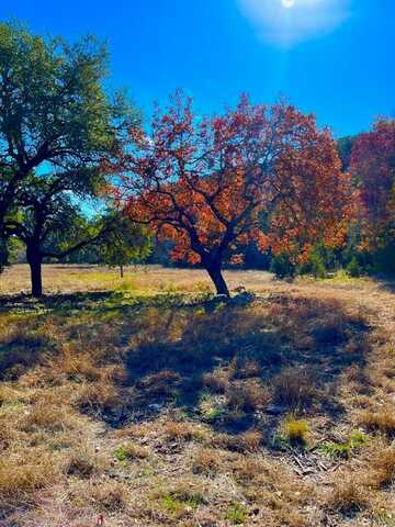 Lot 135 N Shapen Springs Rd, Harper, TX 78631