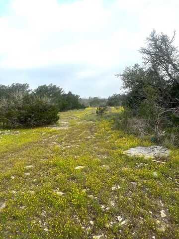 1485 Other, Rocksprings, TX 78880