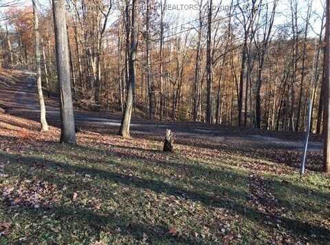 0 Woodland HGTS, Clendenin, WV 25045