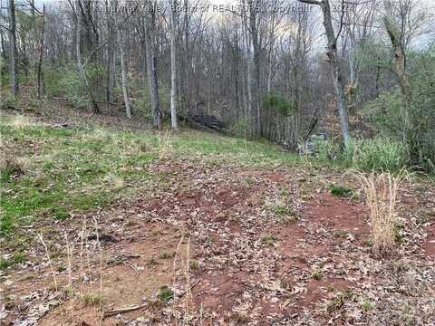 0 Panther Lane, Sandyville, WV 25275