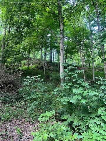 0 Tuppers Creek Road, Poca, WV 25320