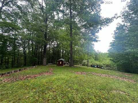 1551 N Sandbranch Road, Mount Hope, WV 25880