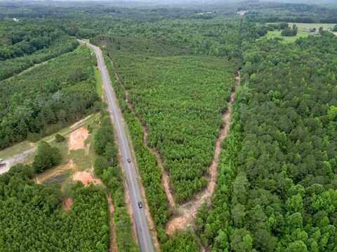 Lot 1 John Swindle Road, Northport, AL 35475