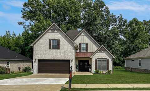 1071 Wittys Lane, Clarksville, TN 37043