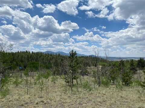 0 TBD Al Gulch Road, Jefferson, CO 80456