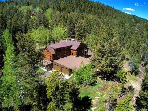 9670 S Warhawk Road, Conifer, CO 80433