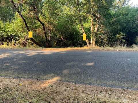 10407 Narrows Dr, Anderson Island, WA 98303