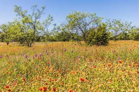 13.5ac County Road 3300, Kempner, TX 76539