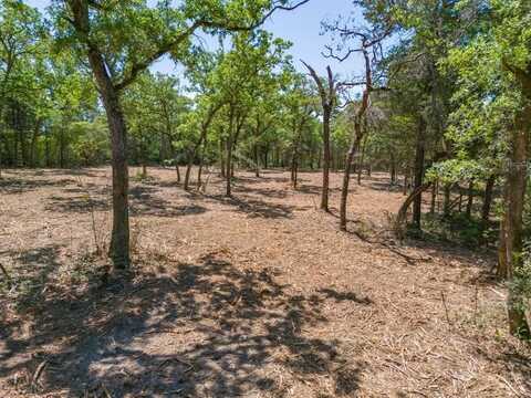 Tbd CR 326 Tract 2, Rockdale, TX 76567