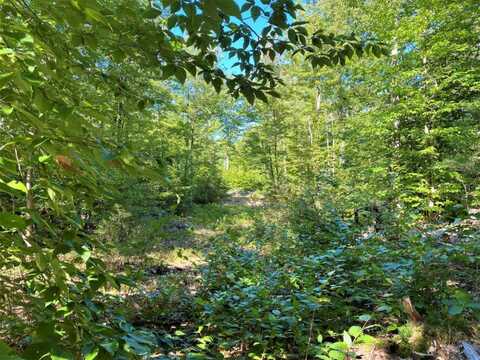 00 Libby, Lot #6 Road, Newfield, ME 04056