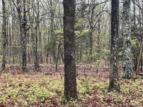 0 W Ridge Dr Lot 15, Nunnelly, AL 37137