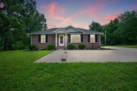 2215 Ferry Rd, Clarksville, AL 37040