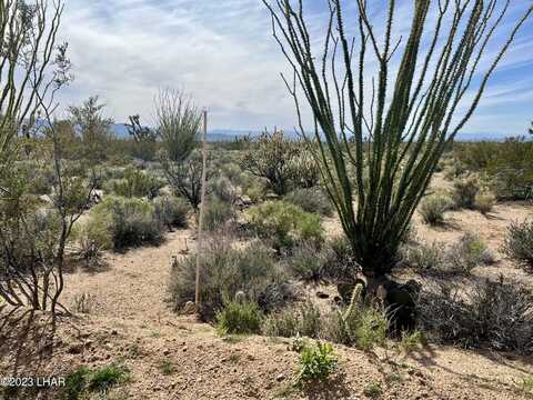 Lot 807 S Kit Carson Rd, Yucca, AZ 86438