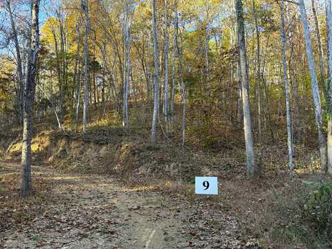 Tract 9 Topaz Way, Parrottsville, TN 37843