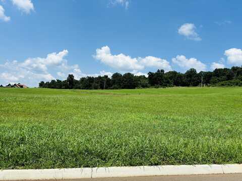 Lot 79 Meadow Vista Way, White Pine, TN 37890