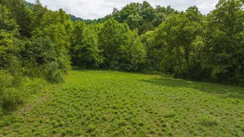 Lot 2 War Creek Road, Eidson, TN 37731