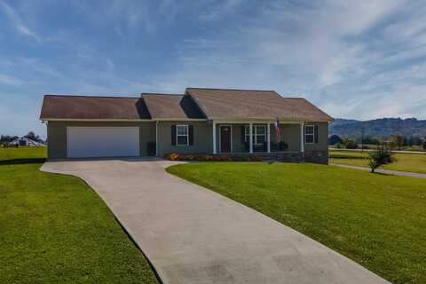 156 Deer Ridge Drive, Rutledge, TN 37861