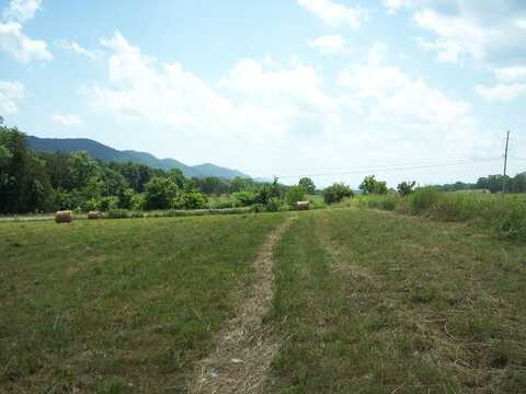 Alanthus Hill Road, Tazewell, TN 37879