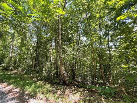 Lot 15 Michaels Way, Newport, TN 37821