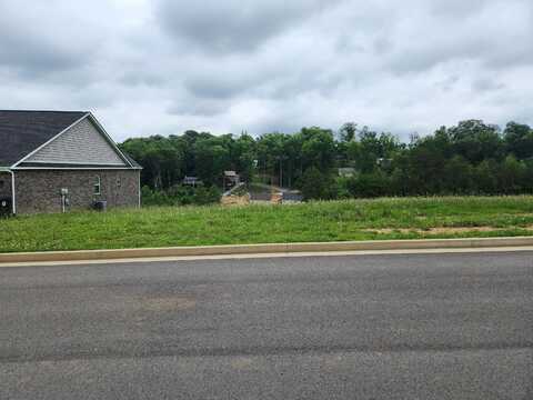 Lot 100 Shoreline Vista, Morristown, TN 37814