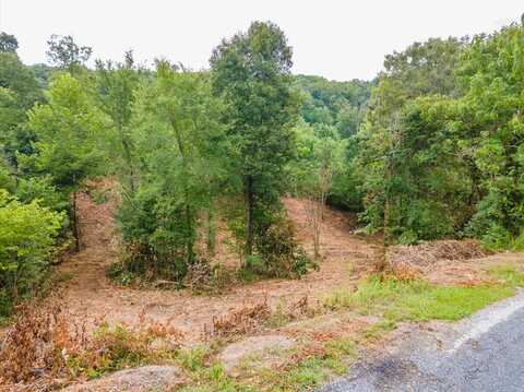 Lot 102 Stone Bridge Dr, Dandridge, TN 37725