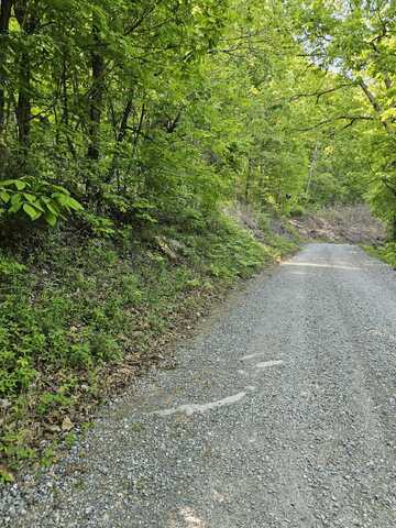 Neddy Mountain Road, Del Rio, TN 37727