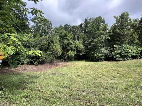 Lot 5 Clemon Road, Bulls Gap, TN 37711