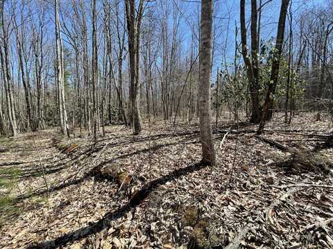 9.62 Acres Lightnen Road, Parrottsville, TN 37843