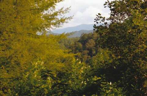 1796 Daxa Way, Sevierville, TN 37876