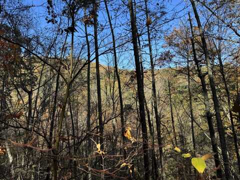 Black Walnut Flats Road, Pigeon Forge, TN 37862