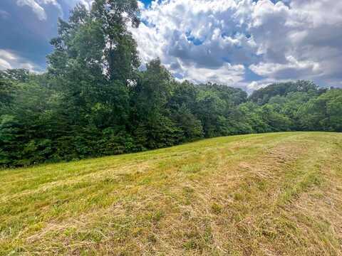 2004 Turners Landing Road, Russellville, TN 37860