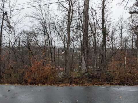 Lot 44 Cliffwood Drive, Newport, TN 37821