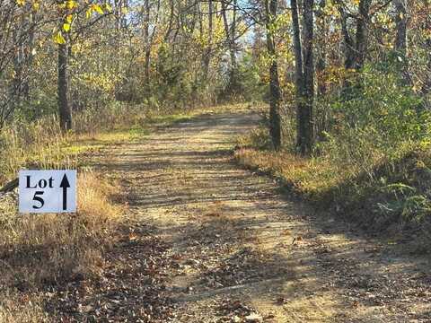 Tract 5 Topaz Way, Parrottsville, TN 37843