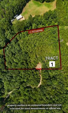 6.225 Topaz Way - Tract 1, Parrottsville, TN 37843