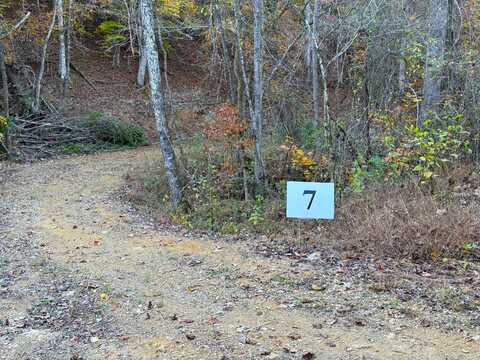 Tract 7 Topaz Way, Parrottsville, TN 37843