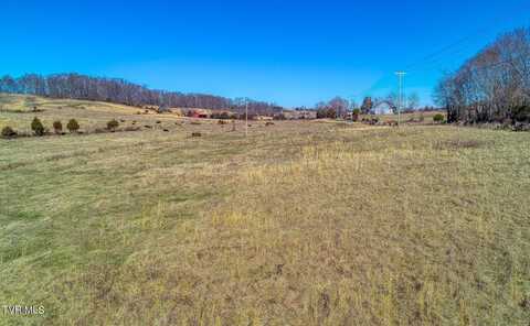 Tbd Old Snapps Ferry Road, Greeneville, TN 37745