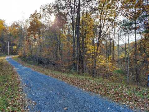 Lot 19 Sugar Maple Way, Del Rio, TN 37727