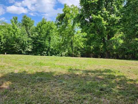 3671 Mountain View Lane, White Pine, TN 37890