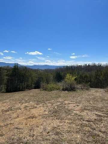 8.4 Ac Kinder Lane, Dandridge, TN 37725