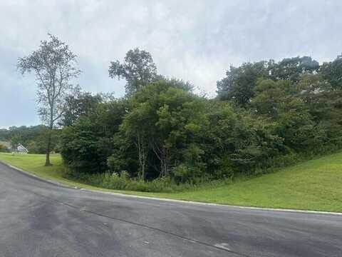 Lot 203r Harbor Point, Mooresburg, TN 37811